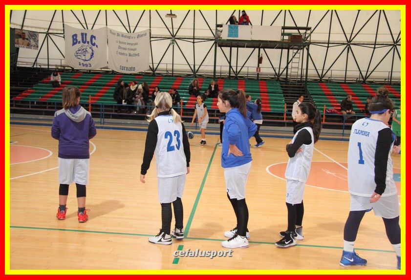170107 basket 019_tn.jpg